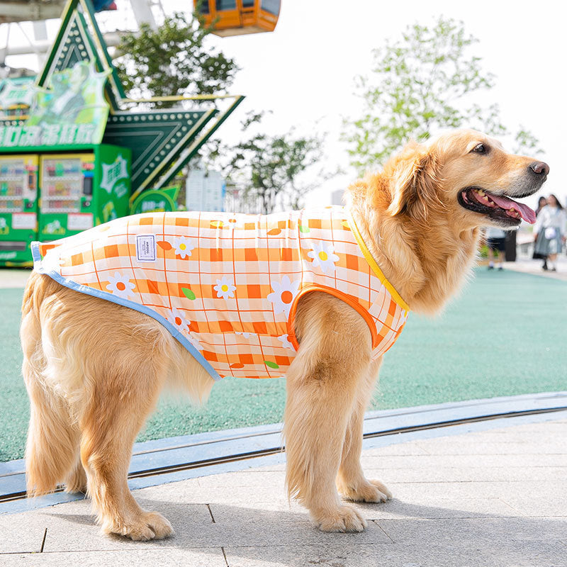 Beat the Heat in Style: The Zen Dog Breezy Plaid Vest