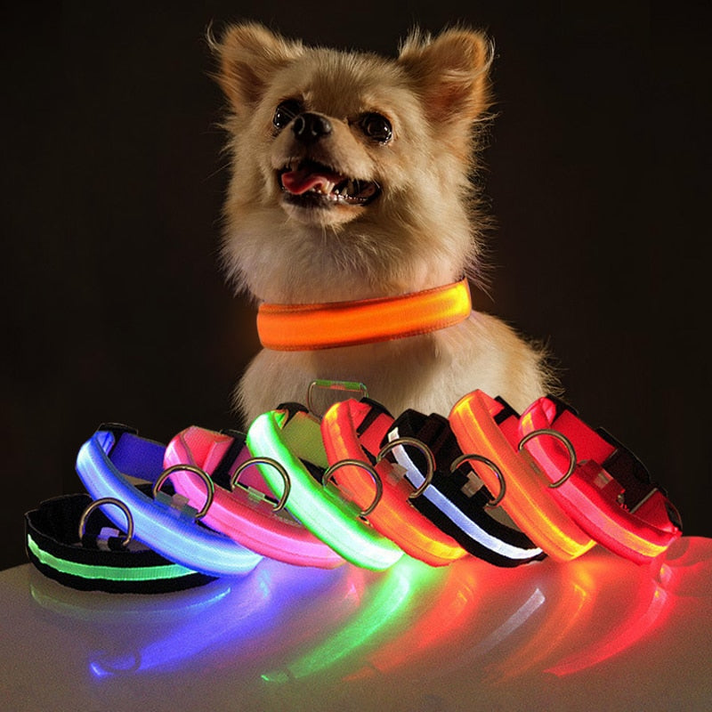 Light Up Your Walks: The Zen Dog LED Illuminated Collar